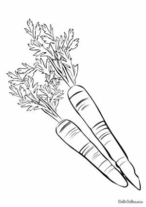 Раскраска Морковь