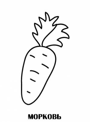 Раскраски Раскраска Морковь овощи