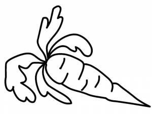 Раскраска морковь