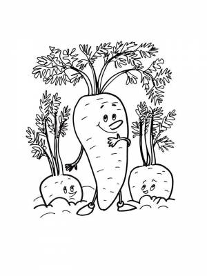 Раскраски Морковка   в формате