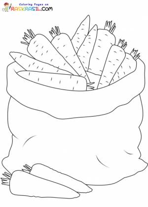 Раскраски Морковь