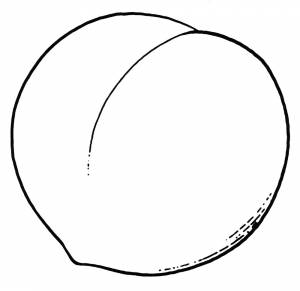 Раскраска Вкусный персик