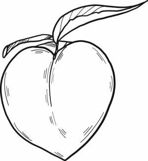 Раскраска Персик 11