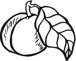 Раскраска Персик 2