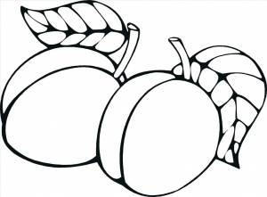 Раскраски Персик