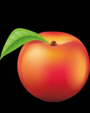 Раскраска Персик