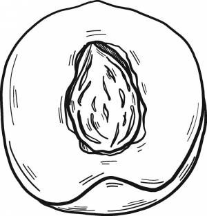 Раскраска Персик 12