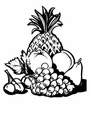 Раскраски груша