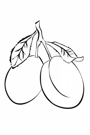 Раскраска слива