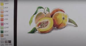 Как нарисовать спиртовыми маркерами бархатистые персики