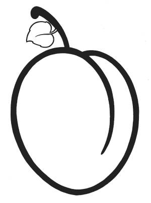 Раскраска слива