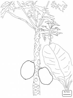 Манго раскраска