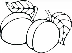 Раскраски Персик