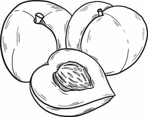 Персик раскраска
