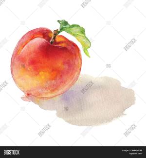 Персик мультяшный рисунок