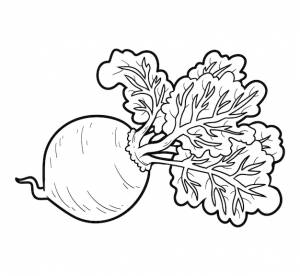 Книжка-раскраска для детей, овощи, свекла