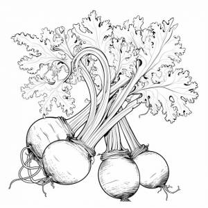 Раскраска свекла
