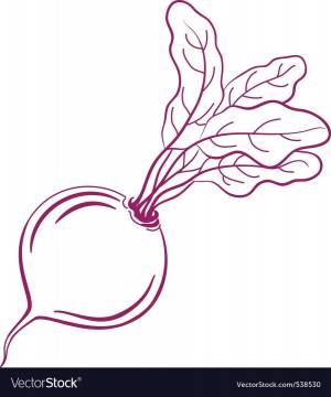 Свекла картинка раскраска