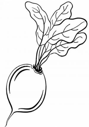 Свекла картинка раскраска