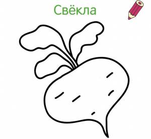 Раскраска Свекла для детей  и