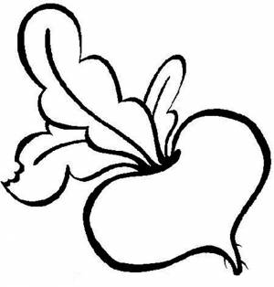 Раскраска свекла