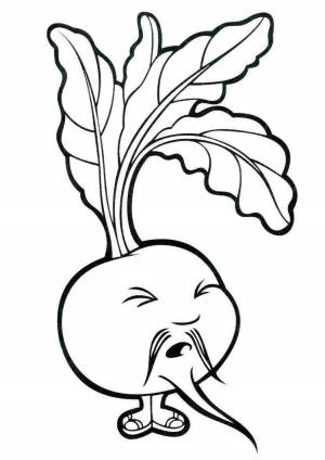 Раскраски, Свекла