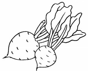 Раскраски Свекла