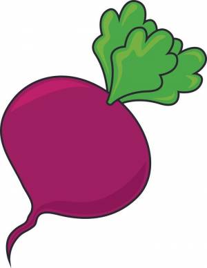 Нарисовать свеклу