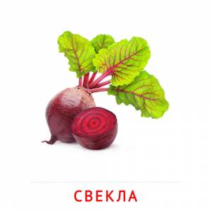 Свекла