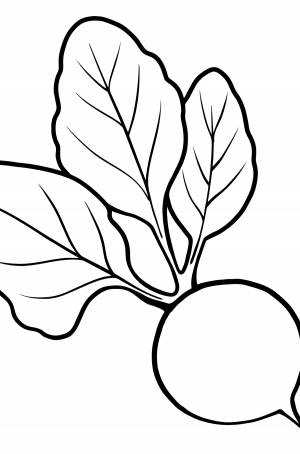 Раскраска Свекла для малышей