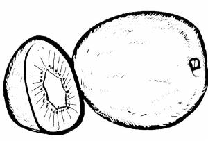 Раскраска Киви