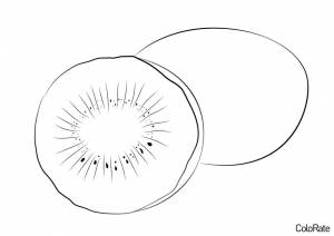 Раскраска Киви в разрезе