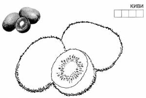 Раскраска Киви