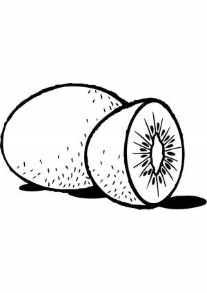 Раскраска киви