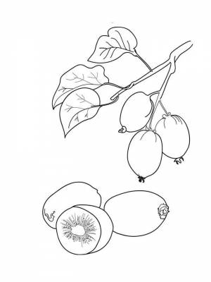 Раскраска Киви черно белая для девочек