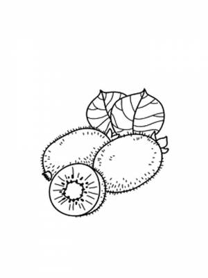 Раскраски Киви   в формате