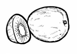 DataLife Engine > Версия для печати > Киви рисунок раскраска