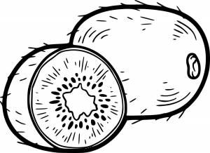 Раскраска киви вилли