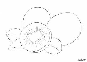 Раскраска Киви в композиции