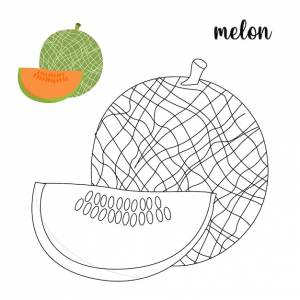 Раскраска, раскраска дыня