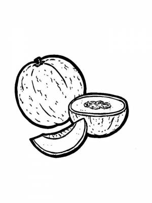 Раскраска Дыня