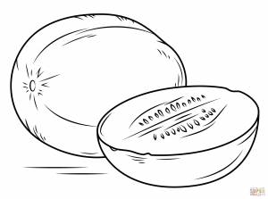 Раскраска Дыня