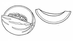 Раскраски Дыня
