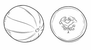 Раскраска Дыня