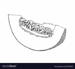 DataLife Engine > Версия для печати > Дыня раскраска