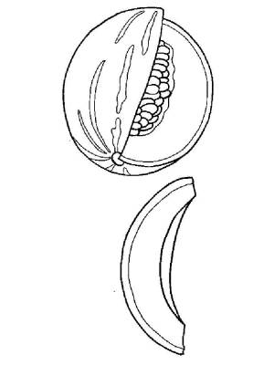 Раскраска Дыня