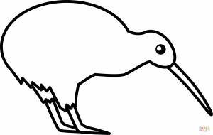 Раскраска Киви птица
