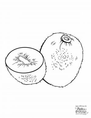 Раскраски Киви вилли