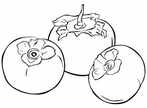 Раскраска Хурма