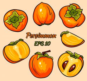 Хурма рисунок